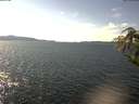 ./images/koeye/fitz-hugh/20180913/fitz-hugh20180913_145502.jpg