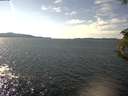 ./images/koeye/fitz-hugh/20180913/fitz-hugh20180913_150502.jpg