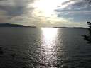 ./images/koeye/fitz-hugh/20180913/fitz-hugh20180913_174501.jpg