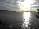 ./images/koeye/fitz-hugh/20180913/fitz-hugh20180913_182502.jpg
