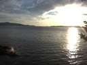 ./images/koeye/fitz-hugh/20180913/fitz-hugh20180913_190501.jpg