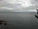 ./images/koeye/fitz-hugh/20180914/fitz-hugh20180914_064501.jpg