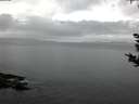 ./images/koeye/fitz-hugh/20180914/fitz-hugh20180914_071001.jpg