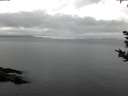 ./images/koeye/fitz-hugh/20180914/fitz-hugh20180914_071501.jpg