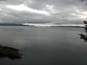 ./images/koeye/fitz-hugh/20180914/fitz-hugh20180914_080501.jpg