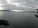 ./images/koeye/fitz-hugh/20180914/fitz-hugh20180914_081501.jpg