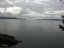 ./images/koeye/fitz-hugh/20180914/fitz-hugh20180914_093502.jpg
