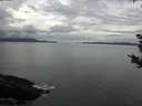./images/koeye/fitz-hugh/20180914/fitz-hugh20180914_094002.jpg