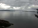 ./images/koeye/fitz-hugh/20180914/fitz-hugh20180914_104001.jpg