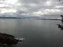 ./images/koeye/fitz-hugh/20180914/fitz-hugh20180914_105501.jpg