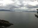 ./images/koeye/fitz-hugh/20180914/fitz-hugh20180914_111501.jpg