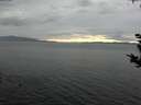 ./images/koeye/fitz-hugh/20180914/fitz-hugh20180914_180002.jpg