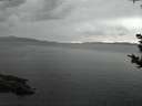 ./images/koeye/fitz-hugh/20180914/fitz-hugh20180914_202001.jpg