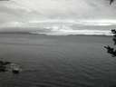 ./images/koeye/fitz-hugh/20180915/fitz-hugh20180915_063502.jpg