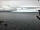 ./images/koeye/fitz-hugh/20180915/fitz-hugh20180915_065001.jpg