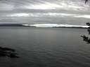 ./images/koeye/fitz-hugh/20180915/fitz-hugh20180915_074001.jpg