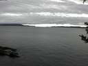 ./images/koeye/fitz-hugh/20180915/fitz-hugh20180915_075001.jpg