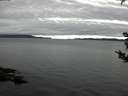 ./images/koeye/fitz-hugh/20180915/fitz-hugh20180915_075501.jpg