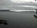 ./images/koeye/fitz-hugh/20180915/fitz-hugh20180915_080501.jpg
