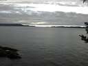 ./images/koeye/fitz-hugh/20180915/fitz-hugh20180915_085002.jpg
