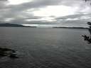 ./images/koeye/fitz-hugh/20180915/fitz-hugh20180915_144502.jpg