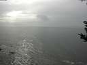 ./images/koeye/fitz-hugh/20180915/fitz-hugh20180915_164001.jpg