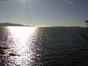 ./images/koeye/fitz-hugh/20180916/fitz-hugh20180916_163501.jpg