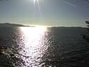./images/koeye/fitz-hugh/20180916/fitz-hugh20180916_170501.jpg