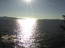 ./images/koeye/fitz-hugh/20180916/fitz-hugh20180916_171501.jpg