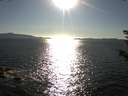 ./images/koeye/fitz-hugh/20180916/fitz-hugh20180916_173502.jpg