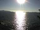 ./images/koeye/fitz-hugh/20180916/fitz-hugh20180916_174002.jpg