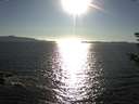 ./images/koeye/fitz-hugh/20180916/fitz-hugh20180916_174502.jpg