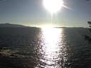 ./images/koeye/fitz-hugh/20180916/fitz-hugh20180916_175501.jpg