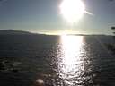 ./images/koeye/fitz-hugh/20180916/fitz-hugh20180916_181002.jpg