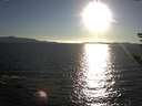 ./images/koeye/fitz-hugh/20180916/fitz-hugh20180916_182502.jpg