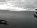 ./images/koeye/fitz-hugh/20180917/fitz-hugh20180917_063502.jpg