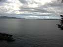 ./images/koeye/fitz-hugh/20180917/fitz-hugh20180917_104001.jpg