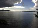 ./images/koeye/fitz-hugh/20180917/fitz-hugh20180917_154501.jpg