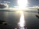 ./images/koeye/fitz-hugh/20180917/fitz-hugh20180917_175502.jpg