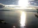 ./images/koeye/fitz-hugh/20180917/fitz-hugh20180917_180502.jpg