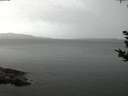 ./images/koeye/fitz-hugh/20180918/fitz-hugh20180918_064501.jpg