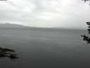 ./images/koeye/fitz-hugh/20180918/fitz-hugh20180918_092501.jpg