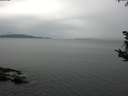 ./images/koeye/fitz-hugh/20180918/fitz-hugh20180918_104002.jpg