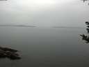 ./images/koeye/fitz-hugh/20180918/fitz-hugh20180918_121001.jpg
