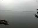 ./images/koeye/fitz-hugh/20180918/fitz-hugh20180918_121501.jpg