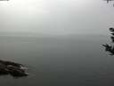 ./images/koeye/fitz-hugh/20180918/fitz-hugh20180918_122001.jpg