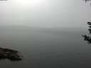 ./images/koeye/fitz-hugh/20180918/fitz-hugh20180918_122501.jpg