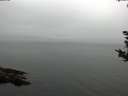 ./images/koeye/fitz-hugh/20180918/fitz-hugh20180918_124001.jpg