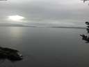 ./images/koeye/fitz-hugh/20180918/fitz-hugh20180918_135502.jpg