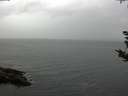 ./images/koeye/fitz-hugh/20180918/fitz-hugh20180918_162002.jpg